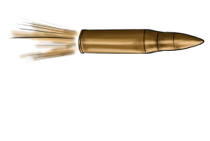 bullet